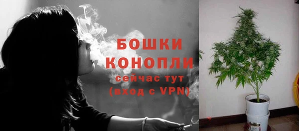 гидра Дмитровск