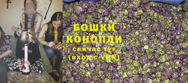 гидра Дмитровск